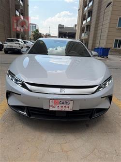 بي واي دي هان